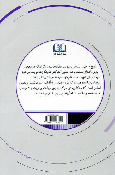 کتاب فلسفی زیستن راهنمای زندگی رواقیانه اثر جوناس سالزجیبر - Image 3