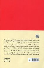 آنچه در مدرسه به شما یاد نمی دهند اثر آلن دوباتن